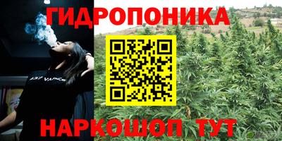 кокс Кандалакша